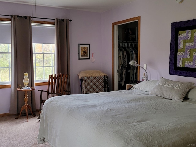 1577 Benner Hwy, Clayton, MI 49235 - bedroom featuring carpet, a closet, and a spacious closet