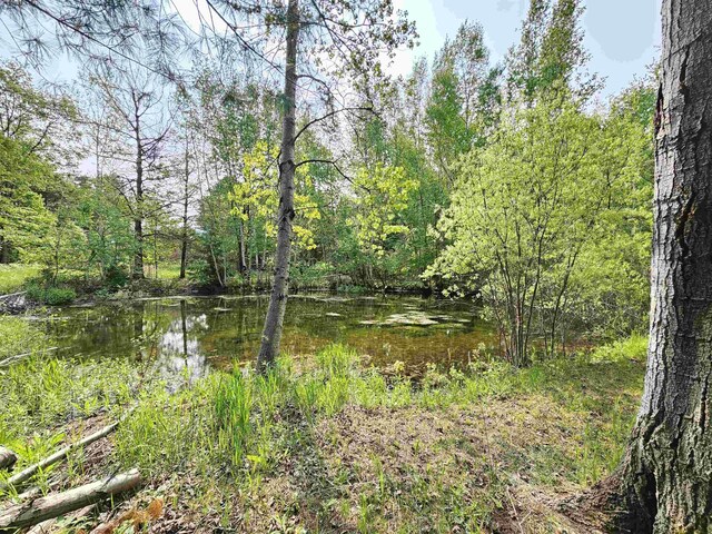 800 S Clark St, Mesick, MI 49668