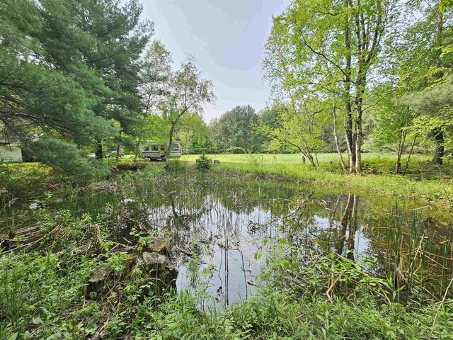 800 S Clark St, Mesick, MI 49668