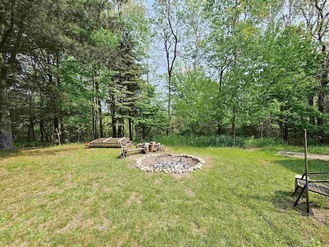 800 S Clark St, Mesick, MI 49668
