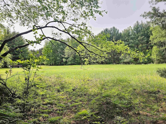 800 S Clark St, Mesick, MI 49668