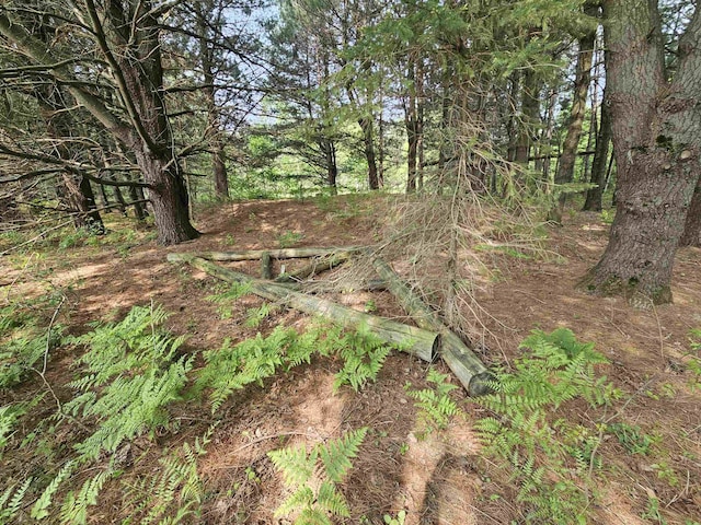 800 S Clark St, Mesick, MI 49668