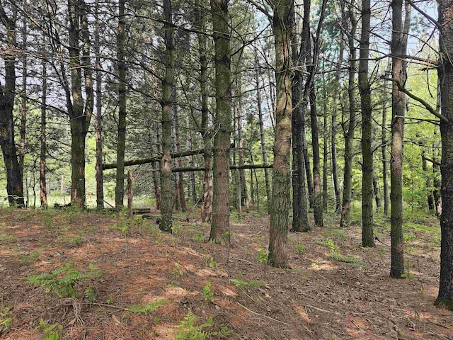 800 S Clark St, Mesick, MI 49668
