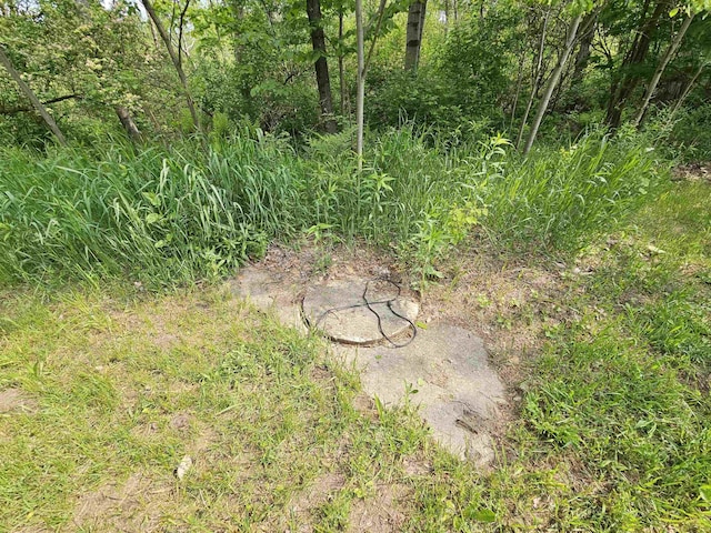 800 S Clark St, Mesick, MI 49668