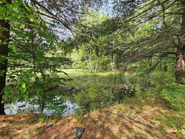 800 S Clark St, Mesick, MI 49668