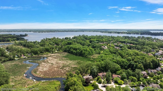1707 Mountain Ash Dr, West Bloomfield, MI 48324 - aerial view of a large body of water