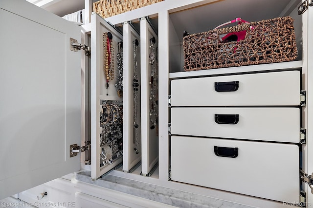 1707 Mountain Ash Dr, West Bloomfield, MI 48324 - view of walk in closet