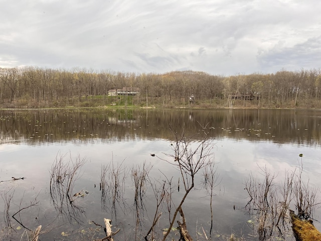 water view with a heavily wooded area