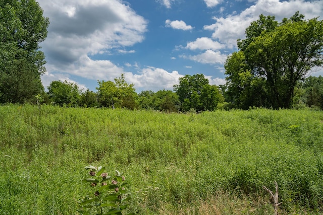 view of nature