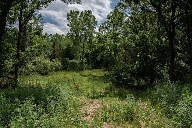 view of wooded area