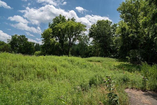 view of tree filled area