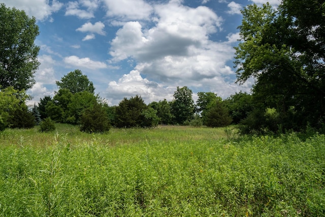 view of nature