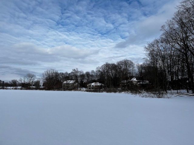 view of snowy yard