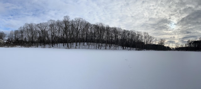 view of snowy yard
