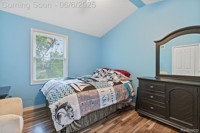 39650 Macomber St, Harrison Township, MI 48045 - bedroom with lofted ceiling, baseboards, and wood finished floors