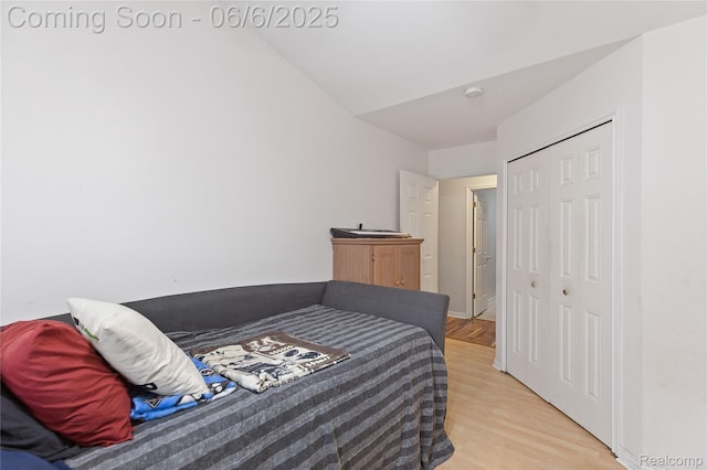 39650 Macomber St, Harrison Township, MI 48045 - bedroom with light wood-style flooring, a closet, and vaulted ceiling