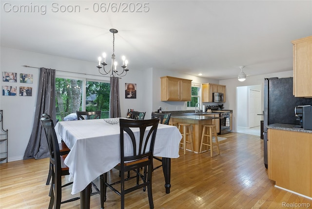 39650 Macomber St, Harrison Township, MI 48045 - dining area with a chandelier, light wood-type flooring, healthy amount of natural light, and baseboards