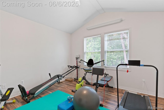 39650 Macomber St, Harrison Township, MI 48045 - exercise room featuring wood finished floors, vaulted ceiling, and baseboards