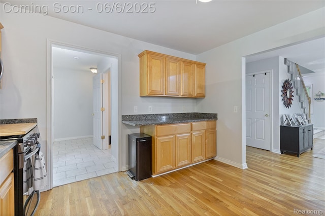 39650 Macomber St, Harrison Township, MI 48045 - kitchen featuring gas stove, light wood-style flooring, and baseboards