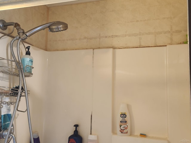 1610 Sunburst St, Grawn, MI 49637 - bathroom view
