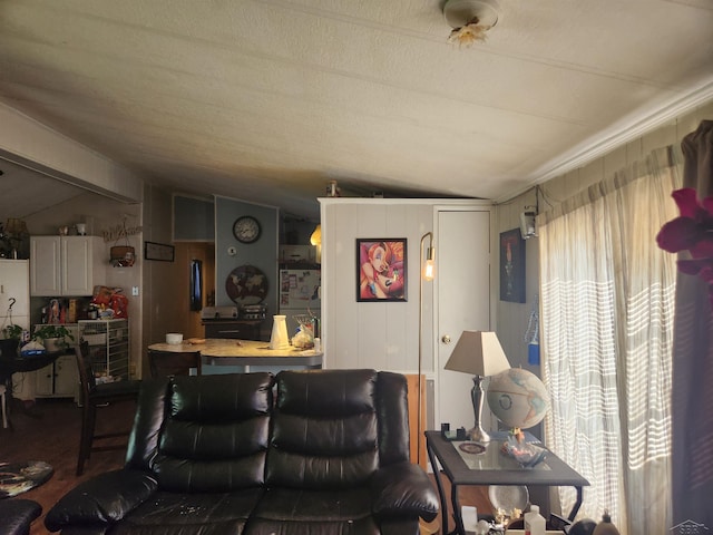 1610 Sunburst St, Grawn, MI 49637 - living room featuring vaulted ceiling