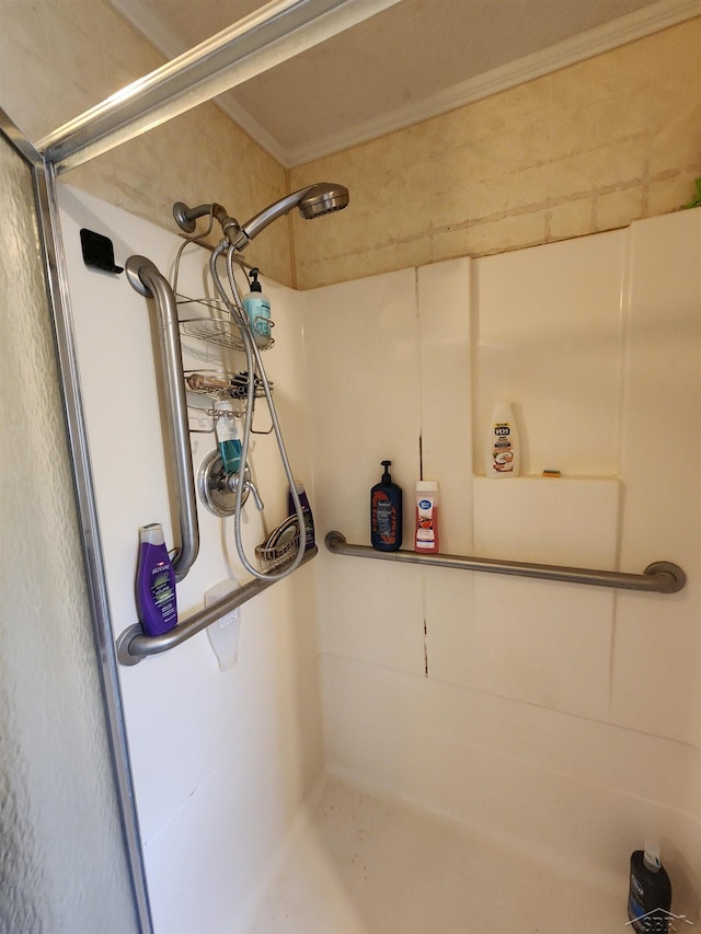 1610 Sunburst St, Grawn, MI 49637 - bathroom view of a shower with door