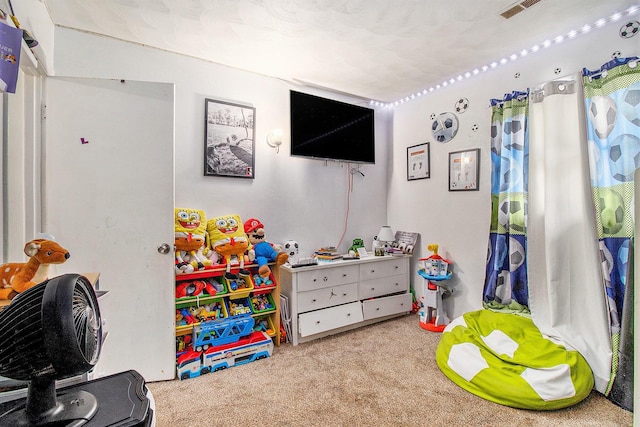 236 Mary St, Plainwell, MI 49080 - playroom featuring carpet floors