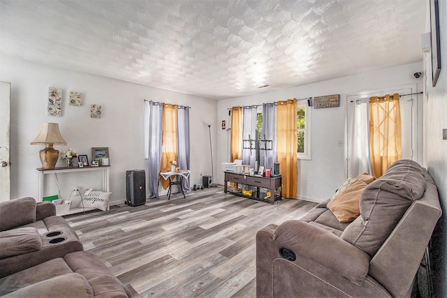 236 Mary St, Plainwell, MI 49080 - living area featuring wood finished floors, a textured ceiling, and baseboards