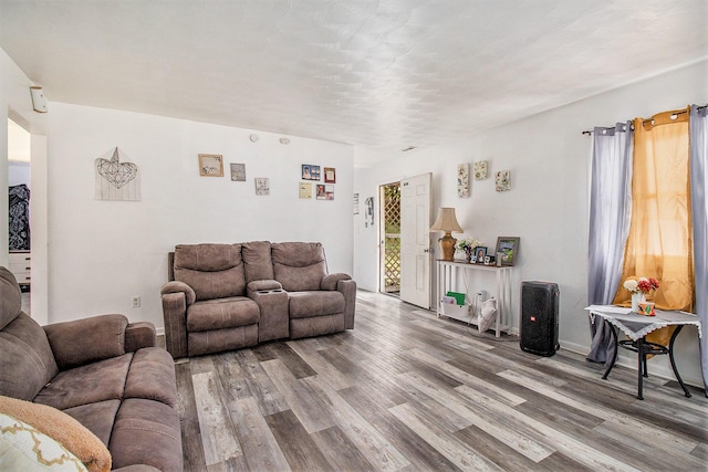 236 Mary St, Plainwell, MI 49080 - living area featuring wood finished floors and plenty of natural light