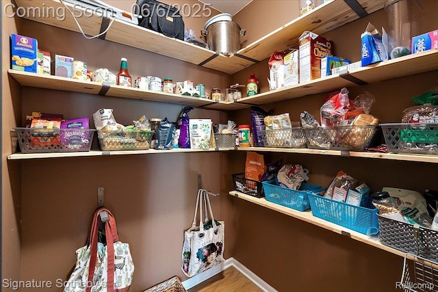 871 Wynstone Cir S, Oakland, MI 48363 - view of pantry