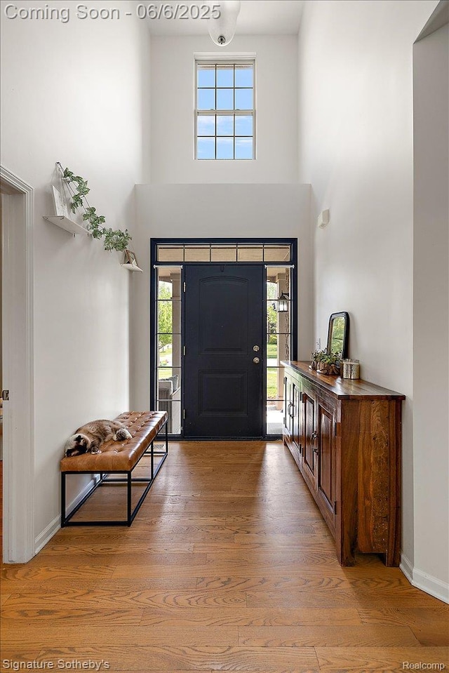 871 Wynstone Cir S, Oakland, MI 48363 - foyer entrance with a towering ceiling, light wood finished floors, and baseboards