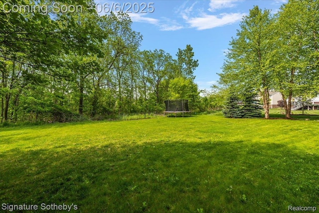 871 Wynstone Cir S, Oakland, MI 48363 - view of green lawn with a trampoline