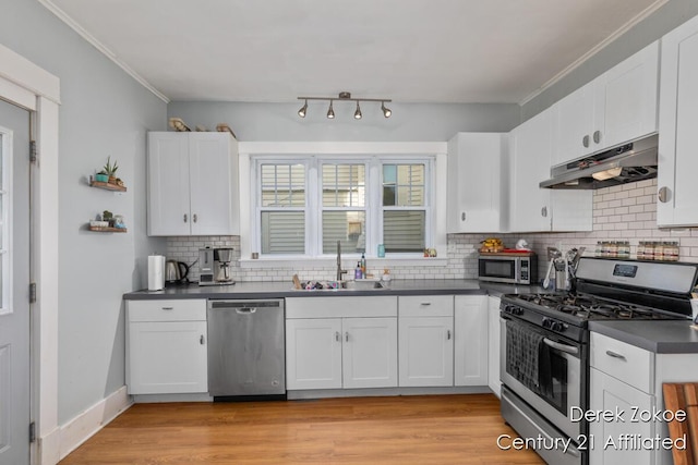 1237 Wealthy St SE, Grand Rapids, MI 49506 - kitchen featuring stainless steel appliances, under cabinet range hood, a sink, dark countertops, and ornamental molding