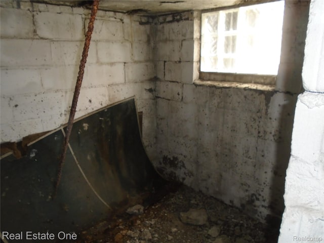 17127 Griggs St, Detroit, MI 48221 - below grade area with concrete block wall