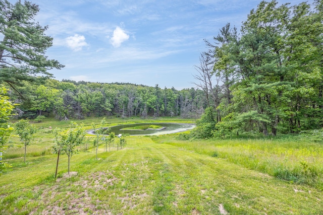 4300 Holton-Duck Lake Rd, Twin Lake, MI 49457 - view of yard with a wooded view