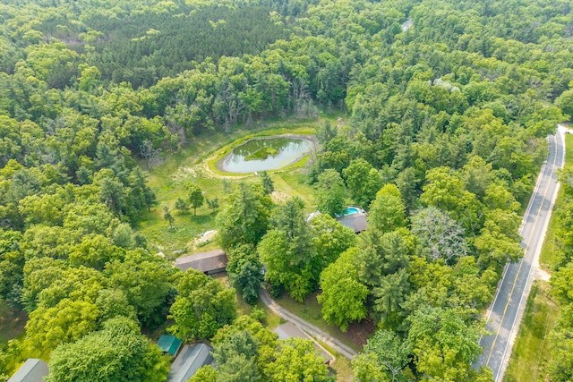 4300 Holton-Duck Lake Rd, Twin Lake, MI 49457 - aerial view of property's location featuring a large body of water and a forest