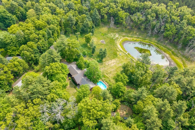 4300 Holton-Duck Lake Rd, Twin Lake, MI 49457 - aerial overview of property's location featuring a nearby body of water and a heavily wooded area