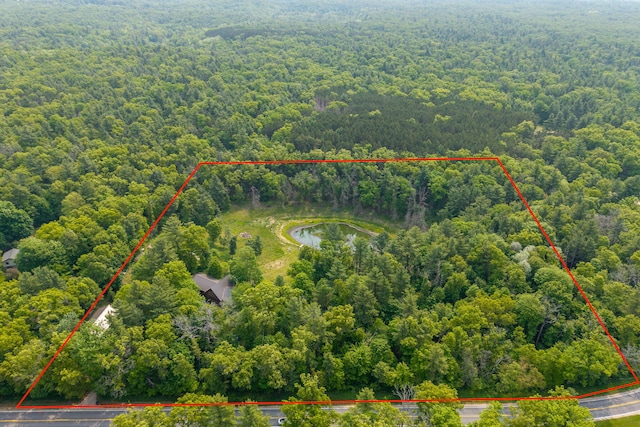 4300 Holton-Duck Lake Rd, Twin Lake, MI 49457 - aerial view of property and surrounding area with a forest and property parcel outlined