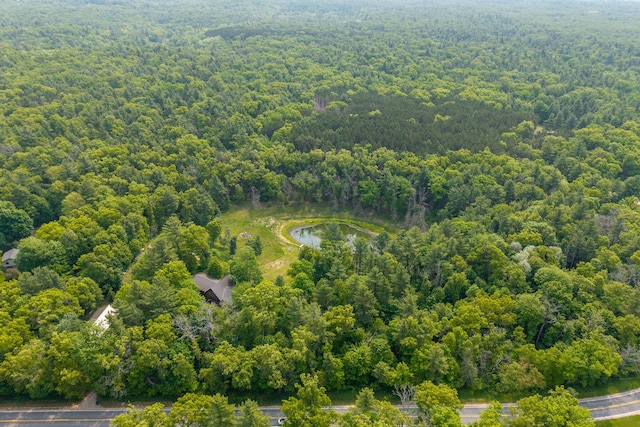 4300 Holton-Duck Lake Rd, Twin Lake, MI 49457 - bird's eye view of a heavily wooded area and a large body of water