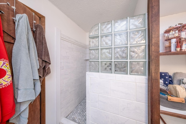 4300 Holton-Duck Lake Rd, Twin Lake, MI 49457 - bathroom with walk in shower and a textured ceiling