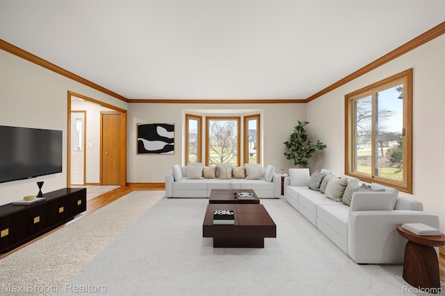 4070 Greenbriar Ct, Rochester, MI 48306 - living room featuring ornamental molding, light colored carpet, and baseboards