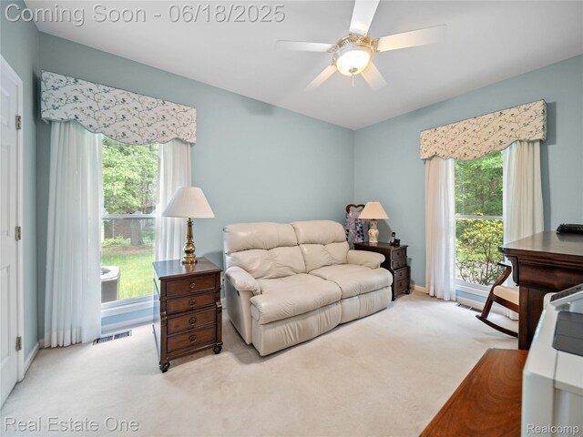 5266 Van Amberg Rd, Brighton, MI 48114 - photo 14