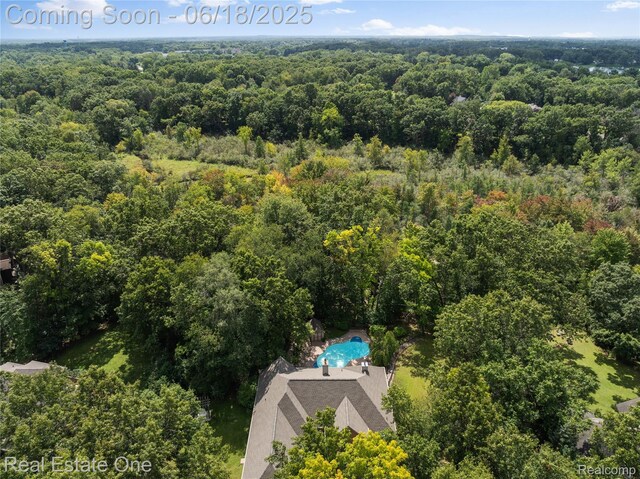 5266 Van Amberg Rd, Brighton, MI 48114 - photo 39