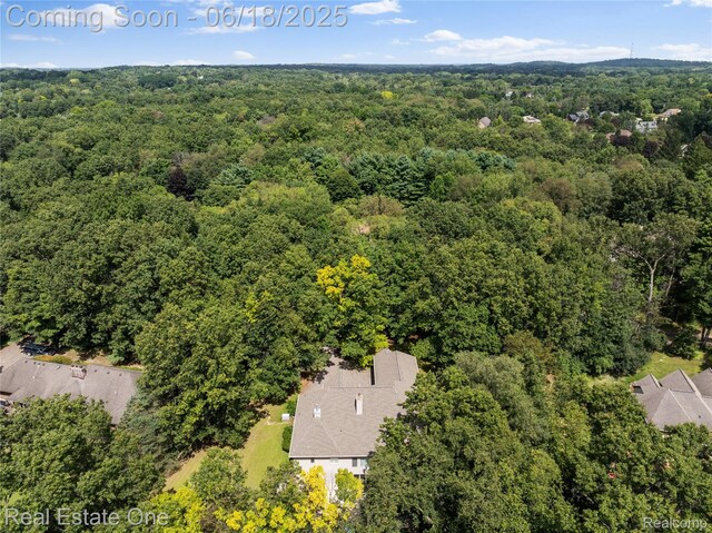 5266 Van Amberg Rd, Brighton, MI 48114 - photo 40