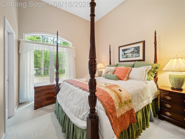 5266 Van Amberg Rd, Brighton, MI 48114 - photo 13