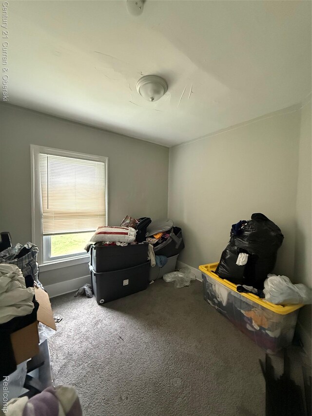 11647 Cascade St, Detroit, MI 48204 - view of storage