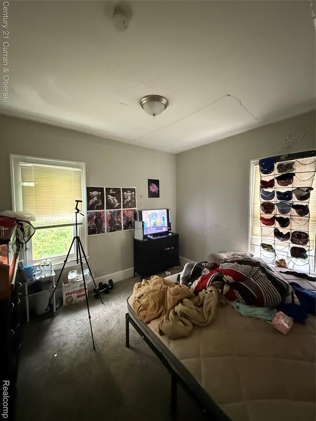 11647 Cascade St, Detroit, MI 48204 - view of carpeted bedroom