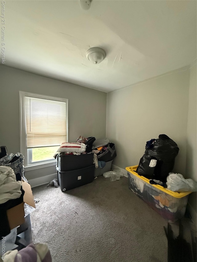 11647 Cascade St, Detroit, MI 48204 - view of storage area