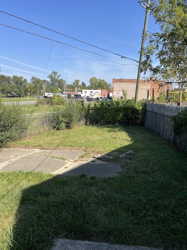 13990 Lauder St, Detroit, MI 48227 - view of yard