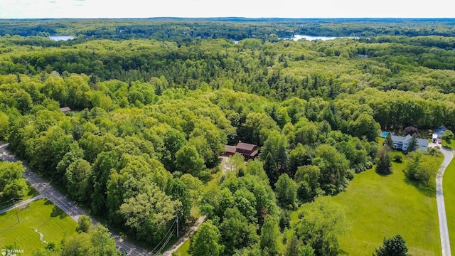 3168 Farmbrook Ln, Metamora, MI 48455 - photo 51
